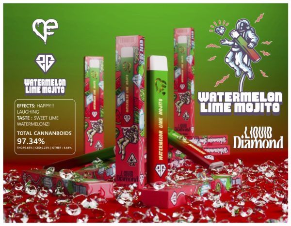 Favorites Disposable Watermelon Lime Mojito