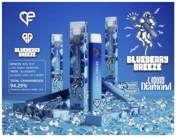 Favorites Disposable Blueberry Breeze